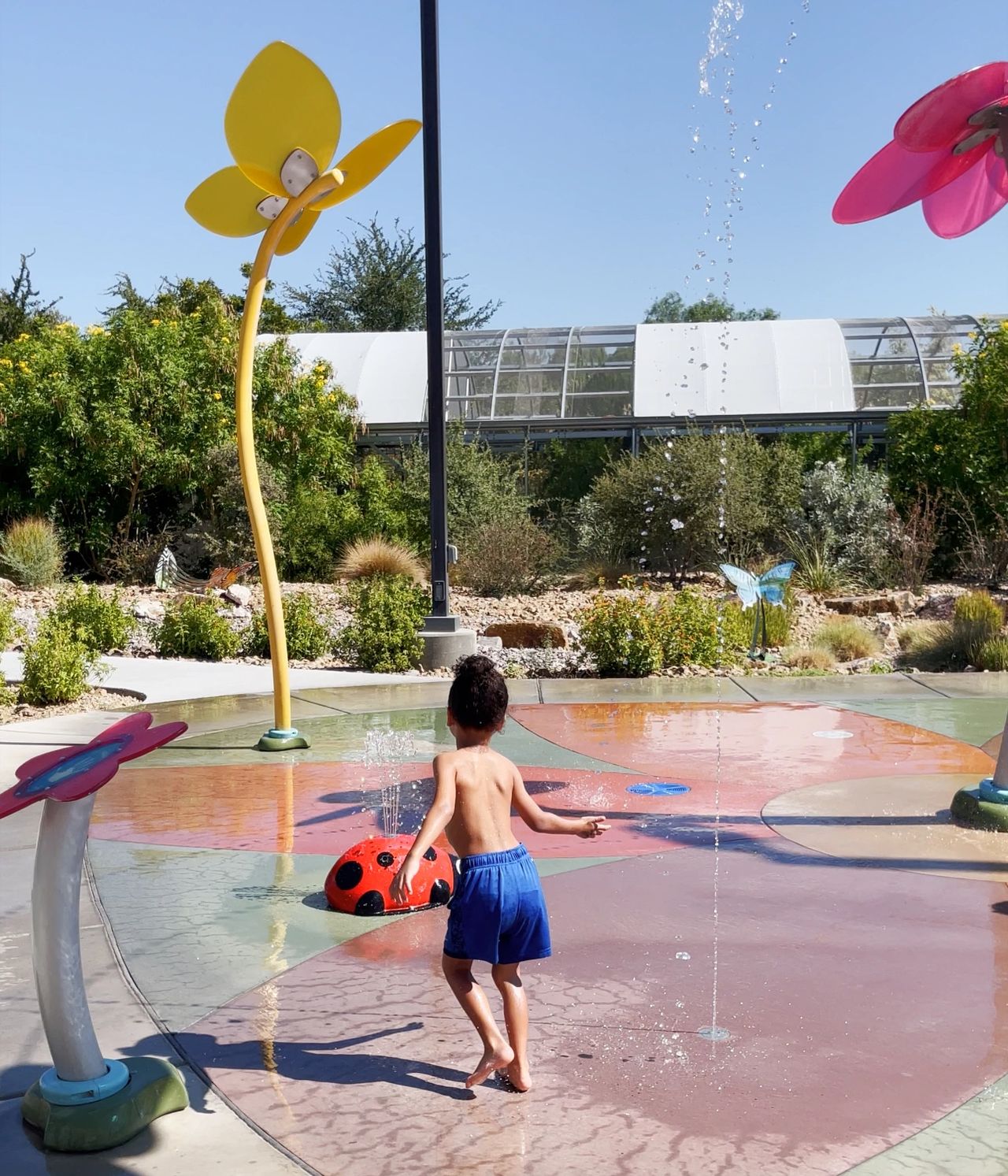 Splash Pad