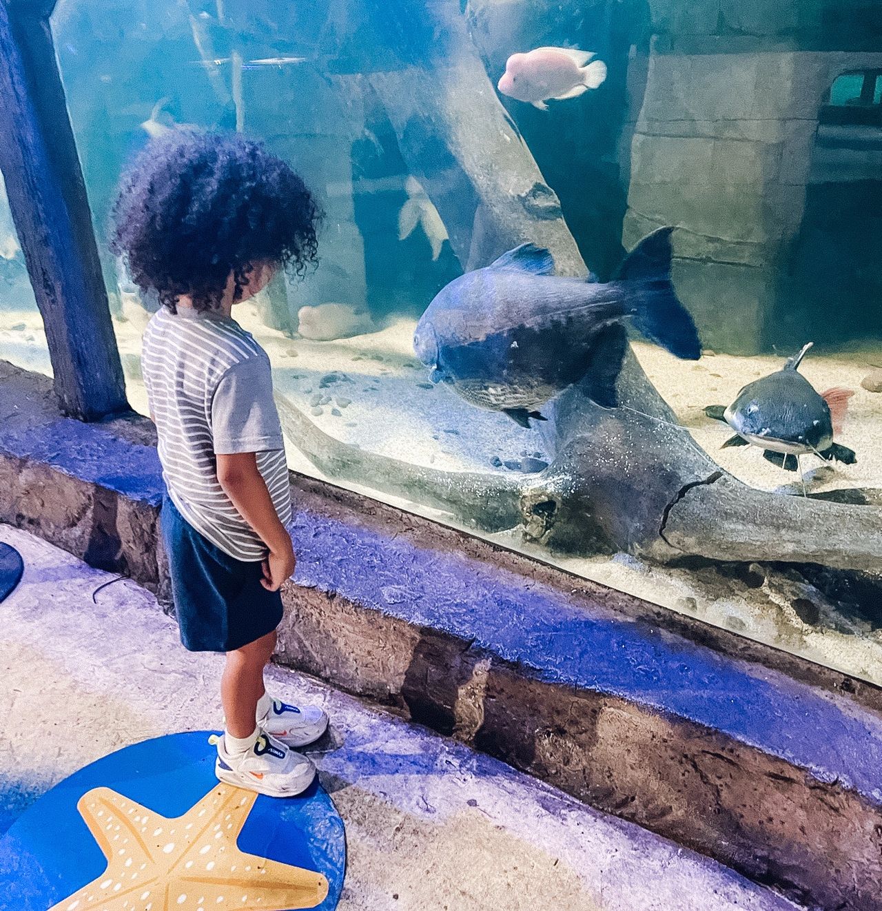 Kai at SeaQuest