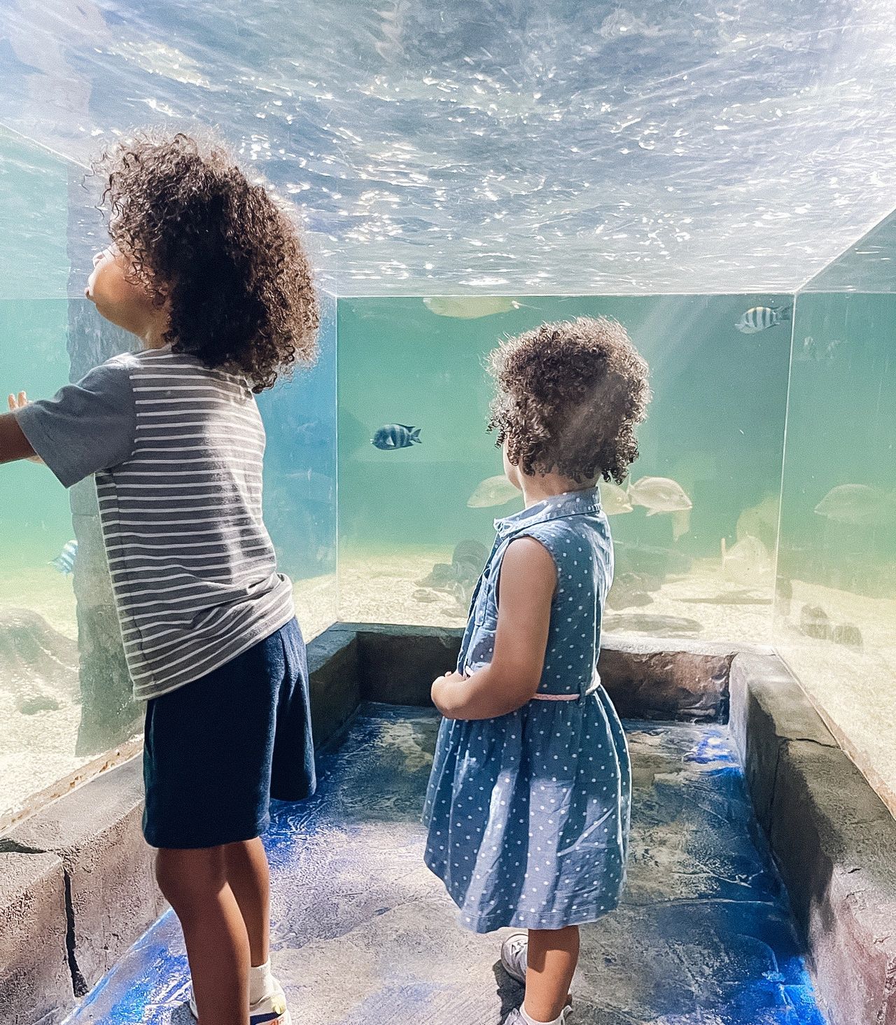 Kai and Z at SeaQuest